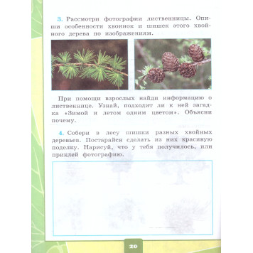 УМК Плешаков Окружающий мир 1 кл. Тетрадь для практических работ с дневником наблюдений в двух частях (Комплект)/ Тихомирова(Экзамен)-2