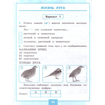 УМК Плешаков Окружающий мир 4 кл. Контрольные работы в двух частях (Комплект)/ Крылова, Цитович (Экзамен)-2
