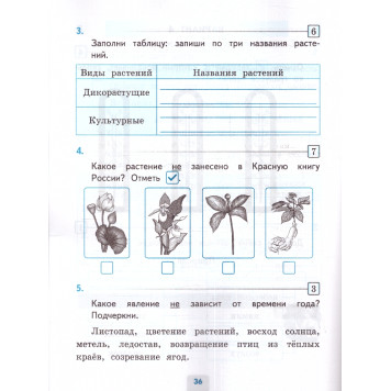 УМК Плешаков Окружающий мир 2 кл. Проверочные работы/Погорелова (Экзамен)-1
