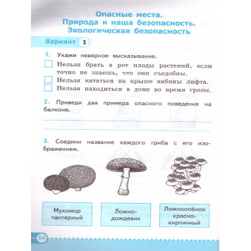 УМК Плешаков Окружающий мир 3 кл. Зачетные работы/Тихомирова (Экзамен)-1