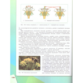 Сивоглазов, Плешаков Биология. 6 класс. Учебник (Просв.)-2