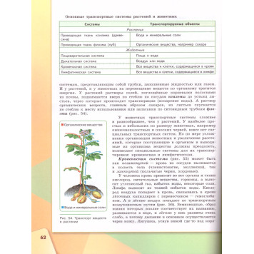 Сивоглазов, Каменский, Сарычева Биология. 9 класс. Учебник (Просв.)-2