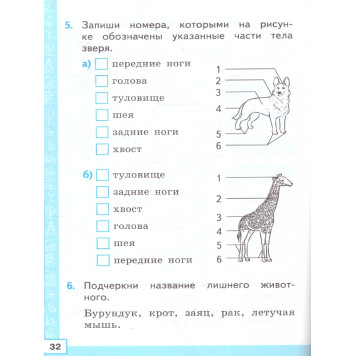 Тренажер по окружающему миру 1 кл. УМК Плешаков/Тихомирова (Экзамен)-2
