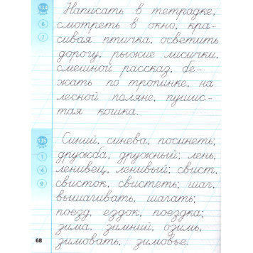 Тренажер по чистописанию 2 кл. Пишем грамотно/Тихомирова (Экзамен)-2