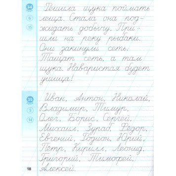 Тренажер по чистописанию 2 кл. Пишем грамотно/Тихомирова (Экзамен)-1