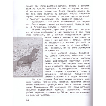 Матвеева, Бахтина Комплексные диагностические работы в начальной школе 3кл. (Просв)-1