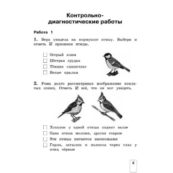 Чудинова Окружающий мир 2кл. Контрольно-диагностические работы (Просв)-2
