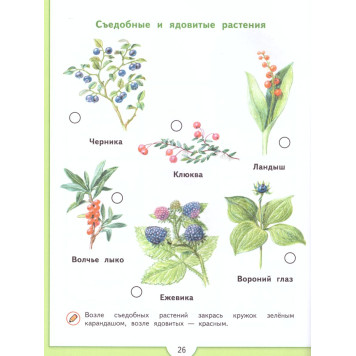 Плешаков Зеленая тропинка. Преемственность (Просв.)-1