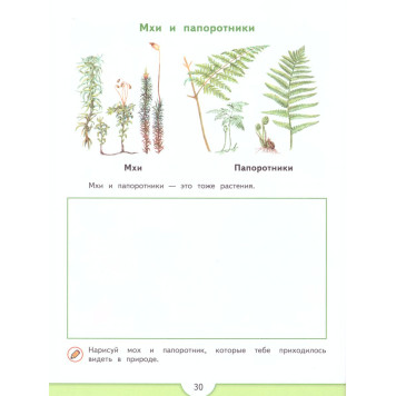 Плешаков Зеленая тропинка. Преемственность (Просв.)-2