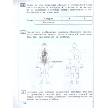 Всероссийские проверочные работы. Окружающий мир. 10 типовых вариантов. 4 класс/ Волкова, Корнейчик (Просв.)-1