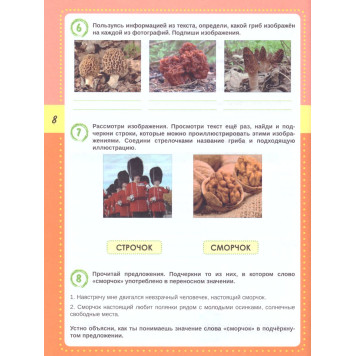 Смысловое чтение. Тренажёр для школьников. 3 кл./Шейкина (Планета)-2