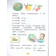 Рамзаева Русский язык 1 кл. Учебник РИТМ (Просв.)