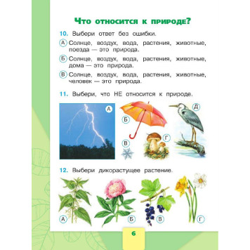 Плешаков (Школа России) Окружающий мир 1 кл. Тесты  (Просв.)-2