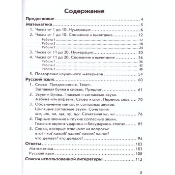 Голубь Зачетная тетрадь.Тематический контроль. Математика, Русский язык 1кл. (ТЦУ)-1