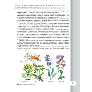 Пасечник (Линия жизни) Биология 6 класс. Базовый уровень. Учебник. Линейный курс (Просв.)-2
