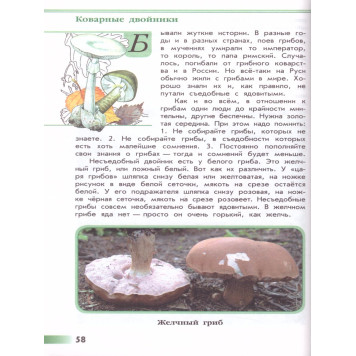 Плешаков (Школа России) Зеленые страницы. Книга для чтения (Просв.)-2