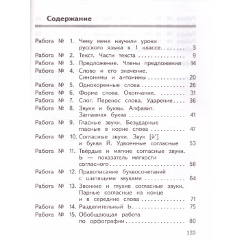Канакина (Школа России) Русский язык 2кл. Предварительный,текущий,итоговый контроль/  Курлыгина, Харченко (Просв.)-1
